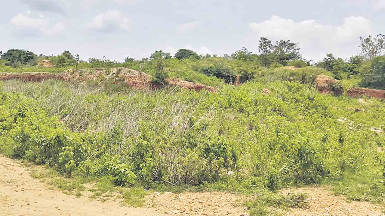 పరిశ్రమలు ఎక్కడ?