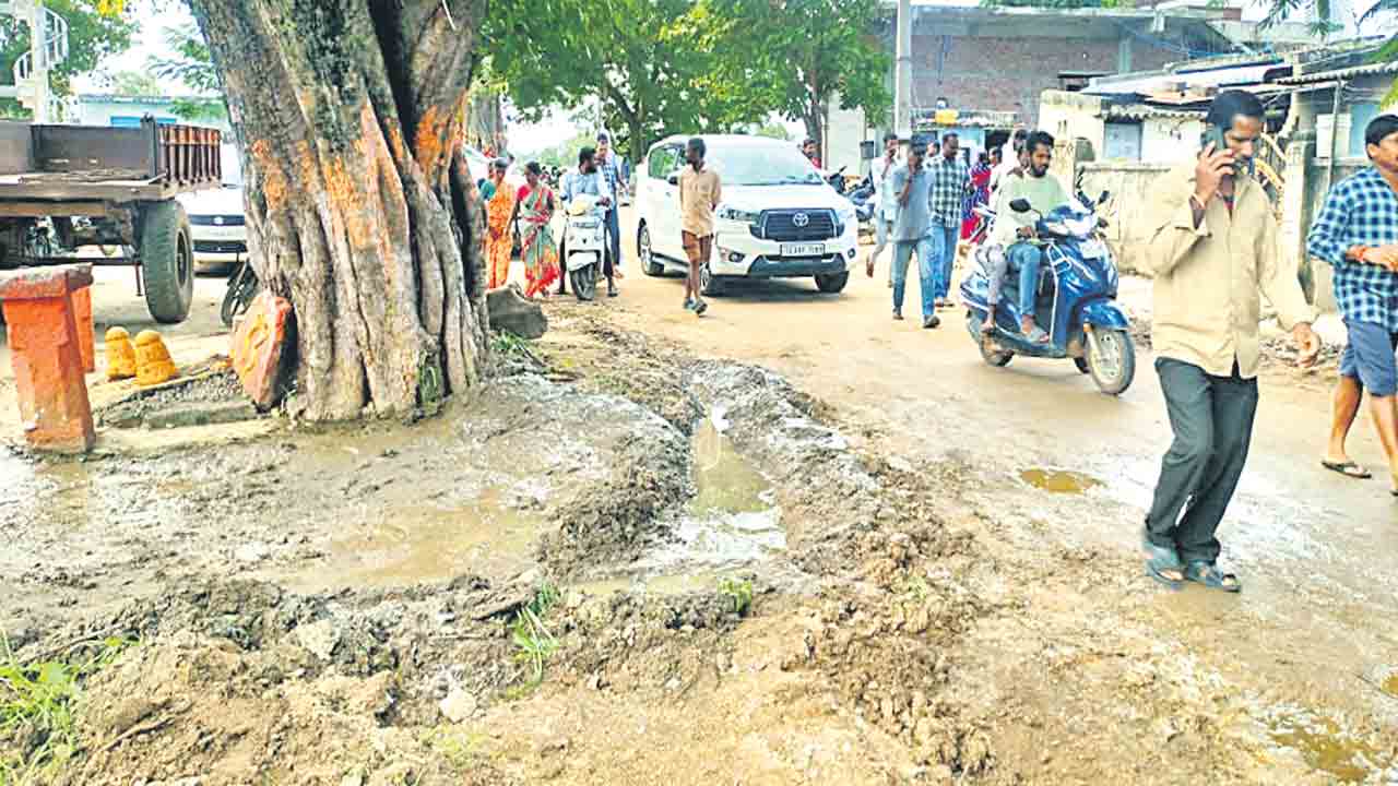 విజృంభిస్తున్న డెంగీ, విషజ్వరాలు