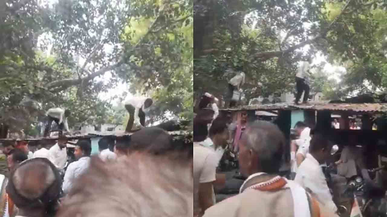 Watch: క్యాష్ బ్యాగ్ ఎత్తుకెళ్లి, నోట్లు వెదజల్లిన కోతి.. తర్వాత ఏం జరిగిందంటే?