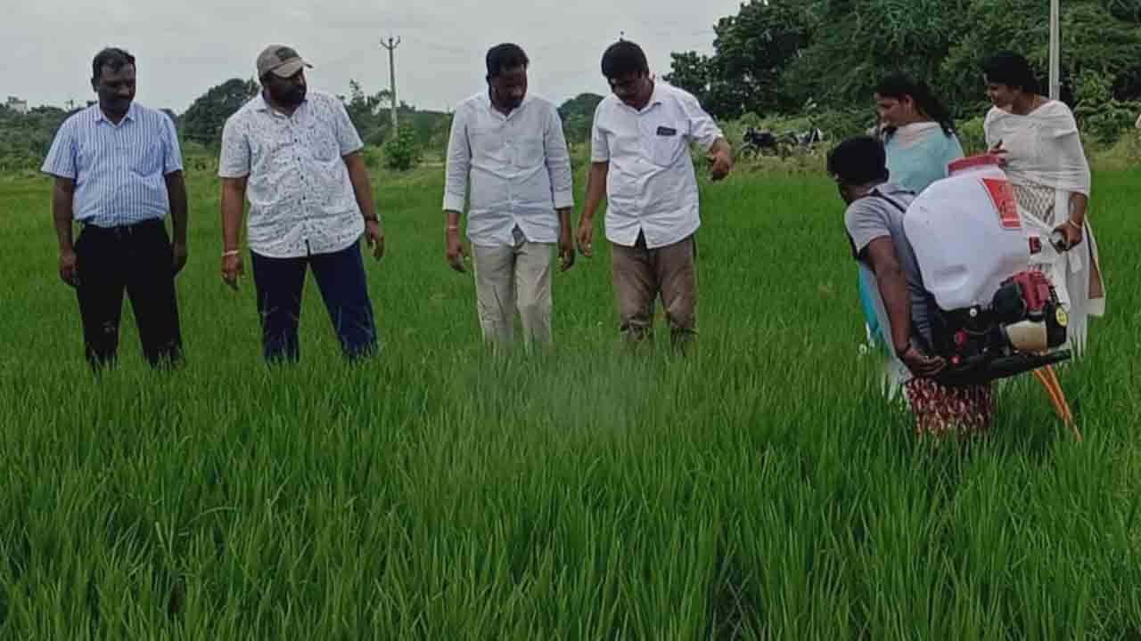 Nano Urea | రైతుకు అతి తక్కువ ఖర్చుతో మంచి ఫలితాలు.. నానో యూరియాపై అవగాహనలో డీఏవో దేవ్ కుమార్