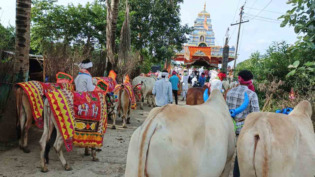 Adilabad | ఆదిలాబాద్ ఉమ్మడి జిల్లాలో ఘనంగా ఎడ్ల పొలాల అమావాస్య