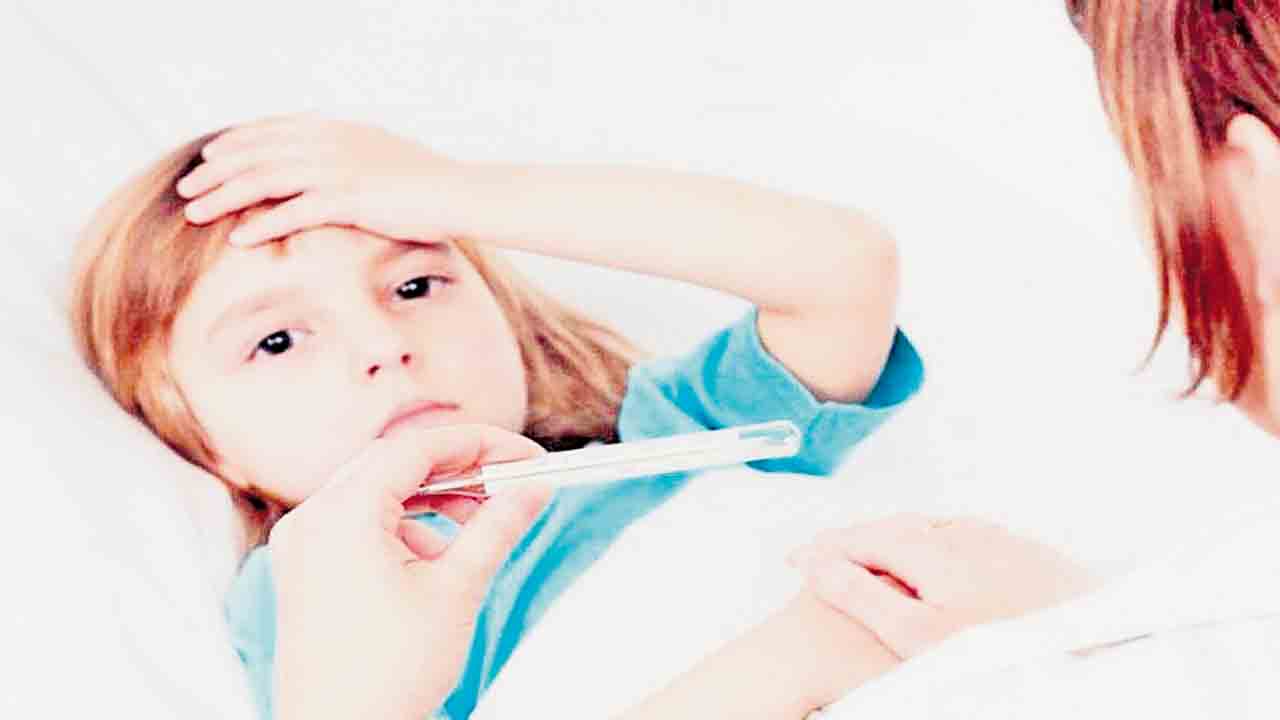 పడకేసిన పారిశుధ్యం