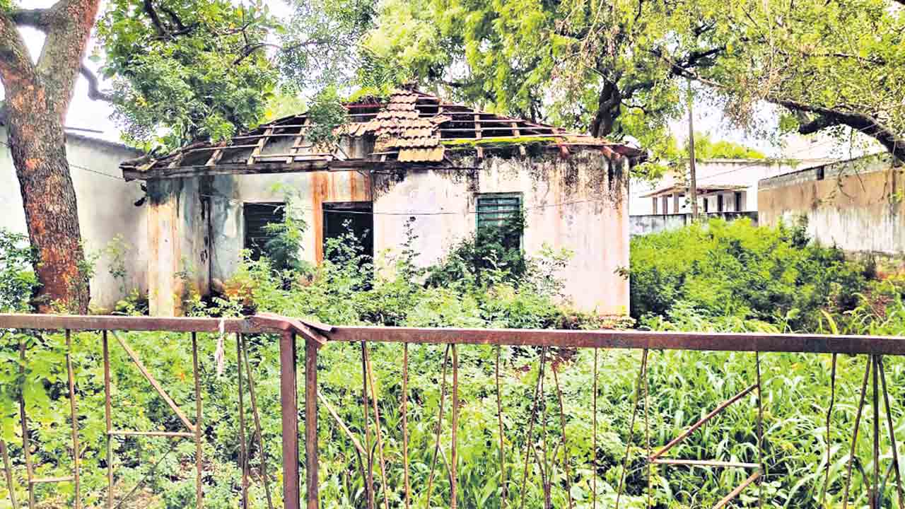 అడ్డదారిన అటవీ సంపద