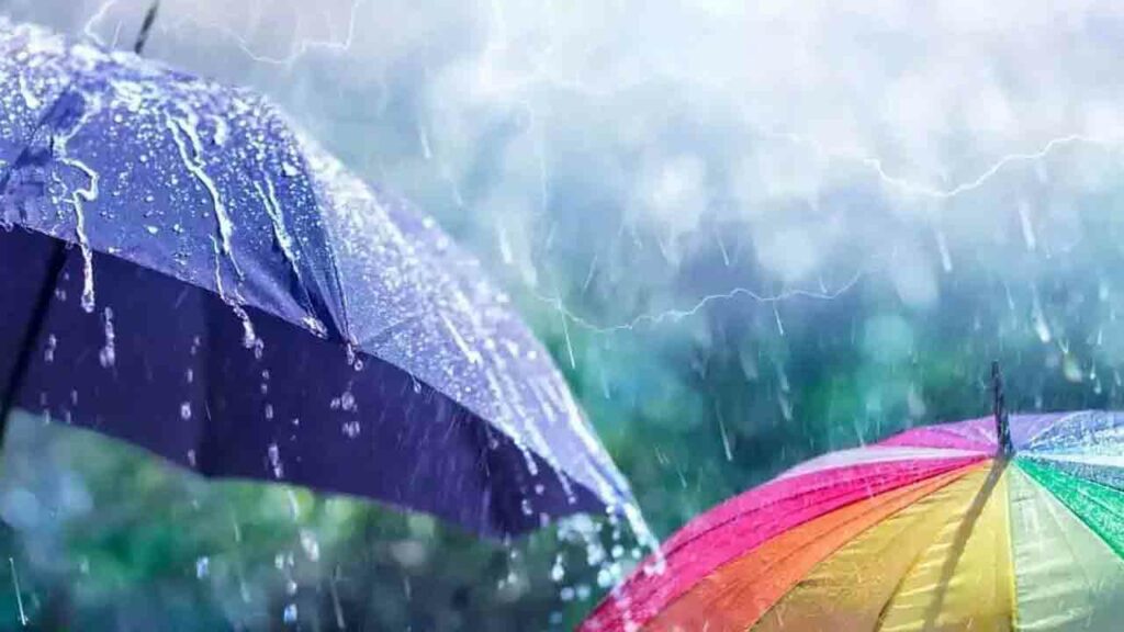 Rain Forecast