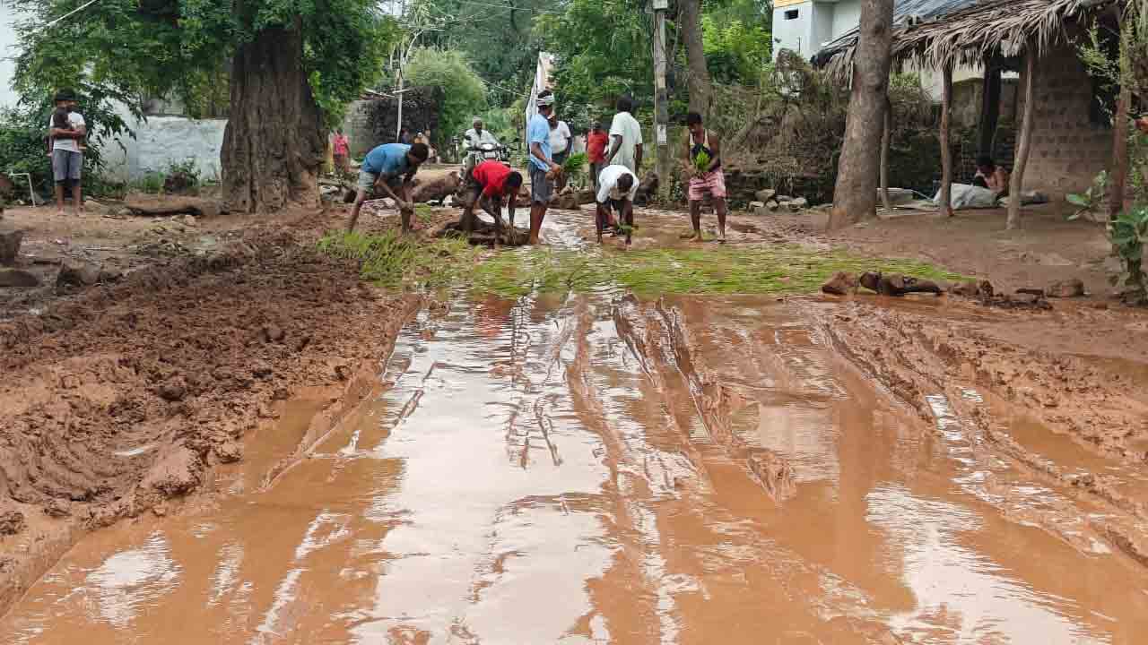 Rice Planting 1