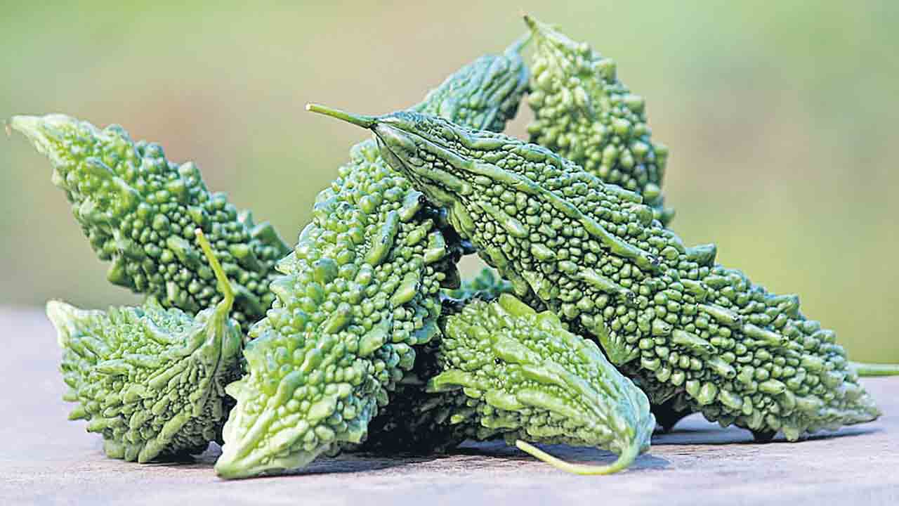 మేలైన చేదు..