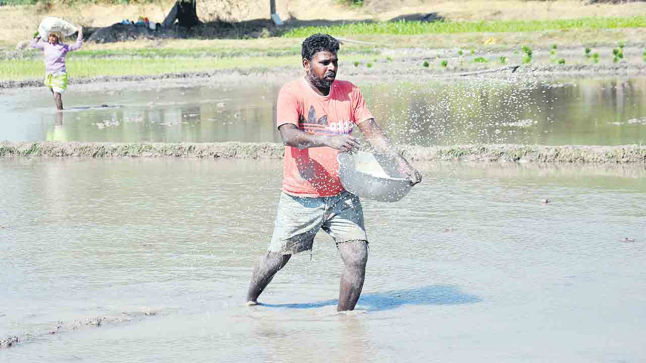యూరియా కొరత.. రైతన్న వ్యథ.. అన్నదాతను వెంటాడుతున్న ఎరువుల కష్టాలు