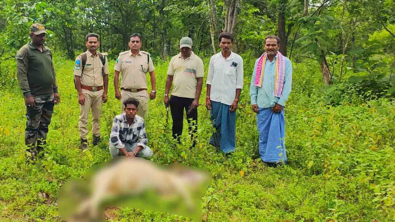 Leopard attacks | ఆవుల మందపై చిరుతపులి దాడి.. సమీప అటవీ ప్రాంత ప్రజలు అప్రమత్తంగా ఉండాలని విజ్ఞప్తి