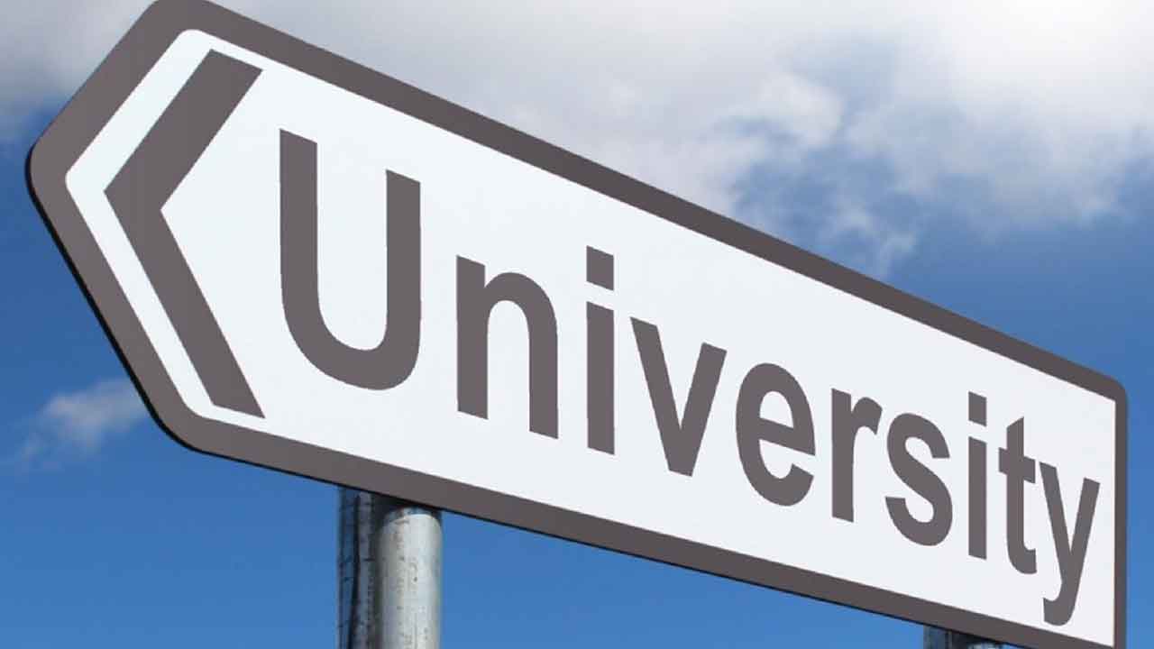 ప్రైవేట్‌ పోటీని తట్టుకోలేకపోతున్నం.. యూనివర్సిటీ వీసీల ఆవేదన