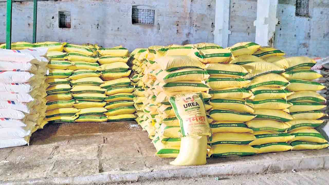 Urea | జేపీ నడ్డాకు చంద్రబాబు ఫోన్.. ఏపీకి భారీగా యూరియా కేటాయింపు