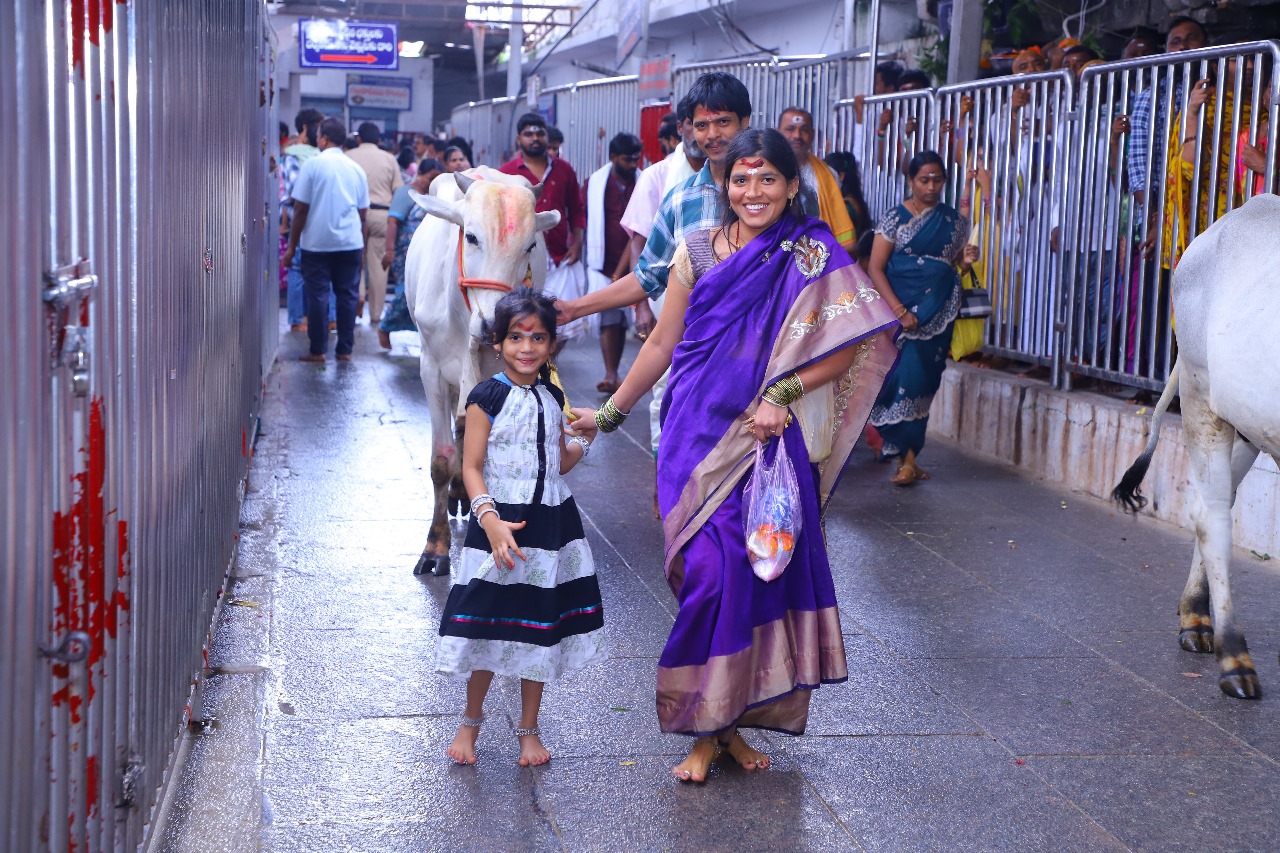 Vemulawada Raja Rajeshwara Swami Temple