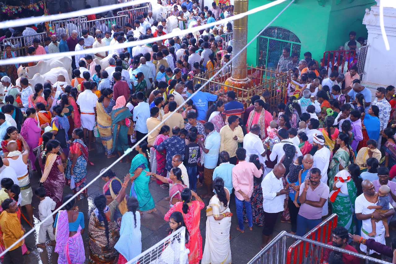 క్యూలైన్లలో స్వామివారి దర్శనం కోసం బారులు తీరారు. 