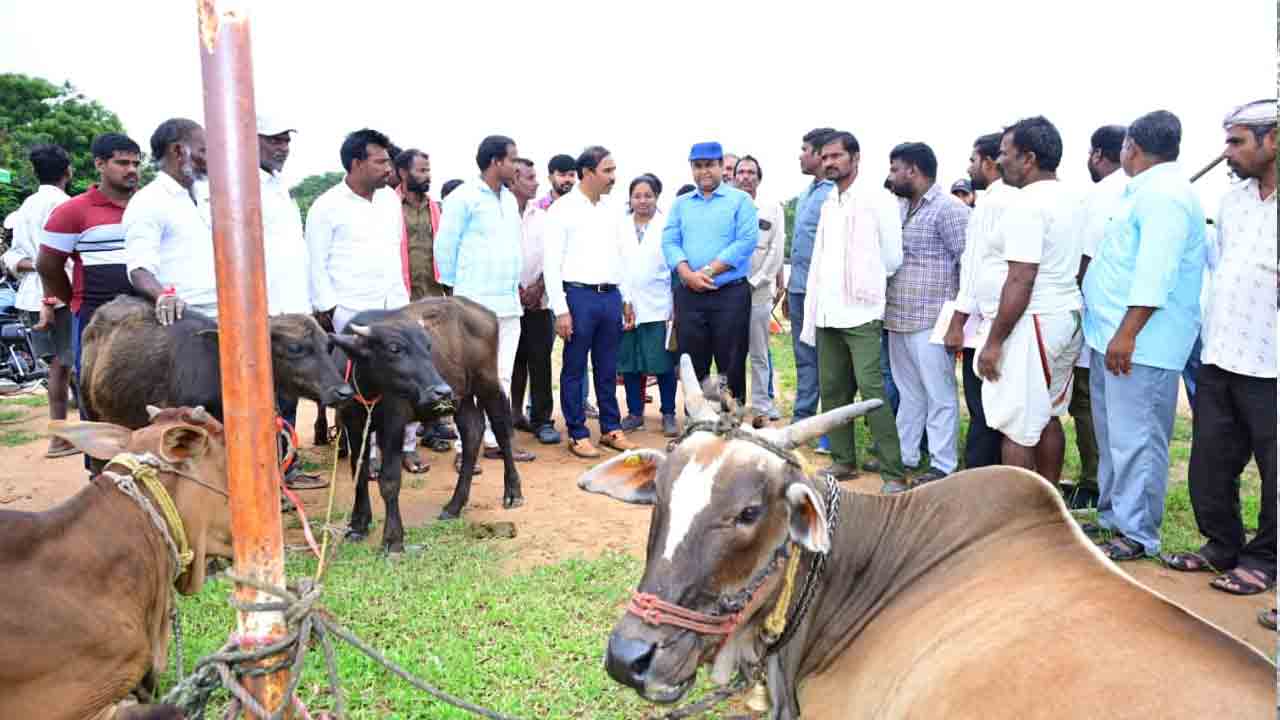 Veterinary Hospitals | పశు వైద్యశాలలో అందుబాటులో అన్ని రకాల మందులు, వ్యాక్సినేషన్ : కలెక్టర్ రాహుల్ రాజ్