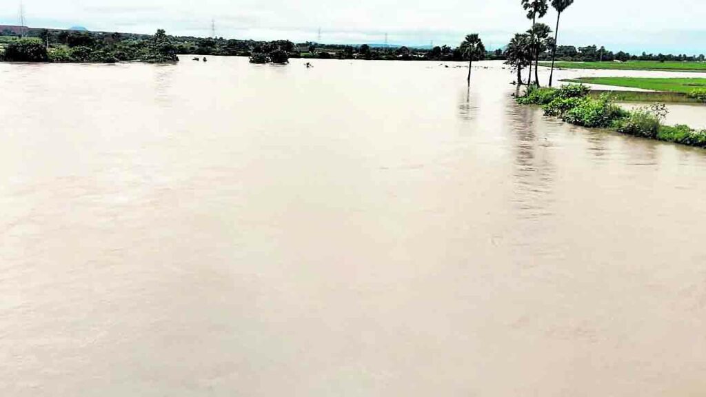Warangal2