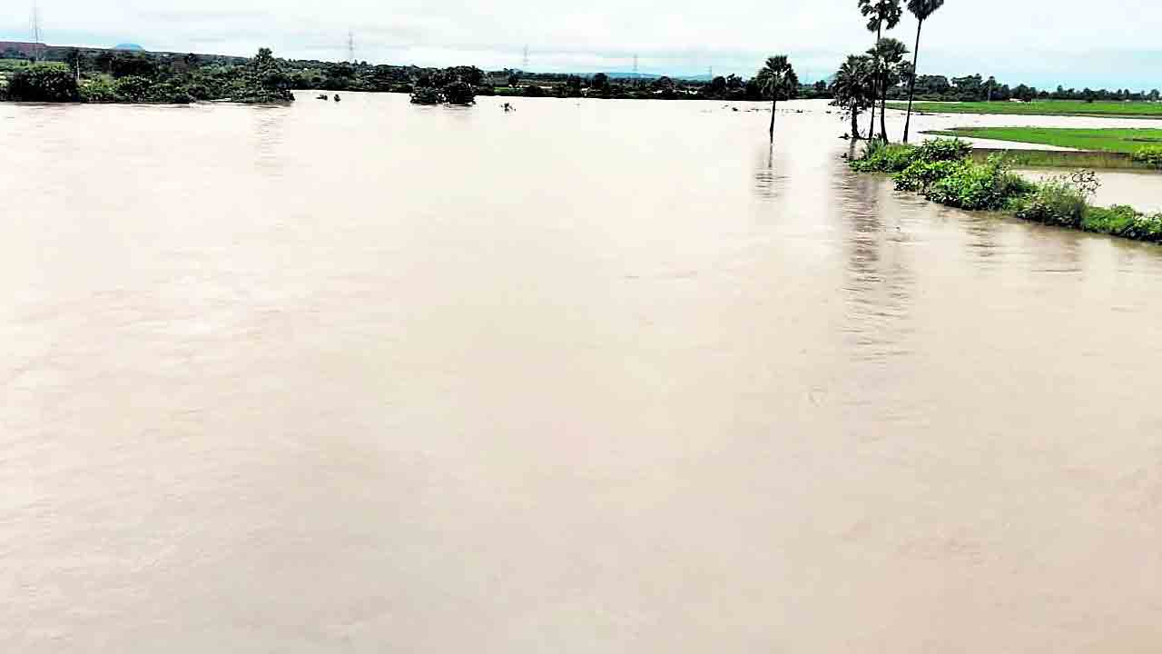 ఎడతెరిపిలేని వాన