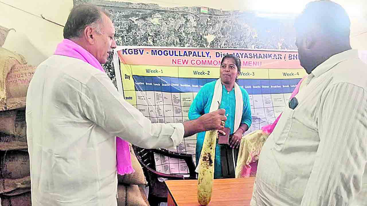 కుళ్లిన కూరగాయలతో వంటలు