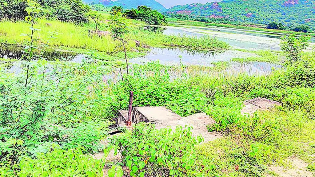 Warangal3