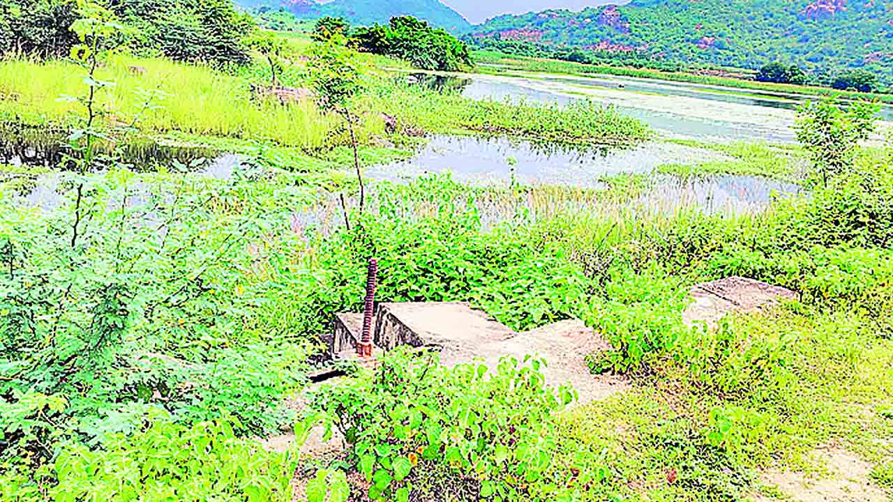 గట్టివాన పడదు.. సర్కారు నీళ్లివ్వదు