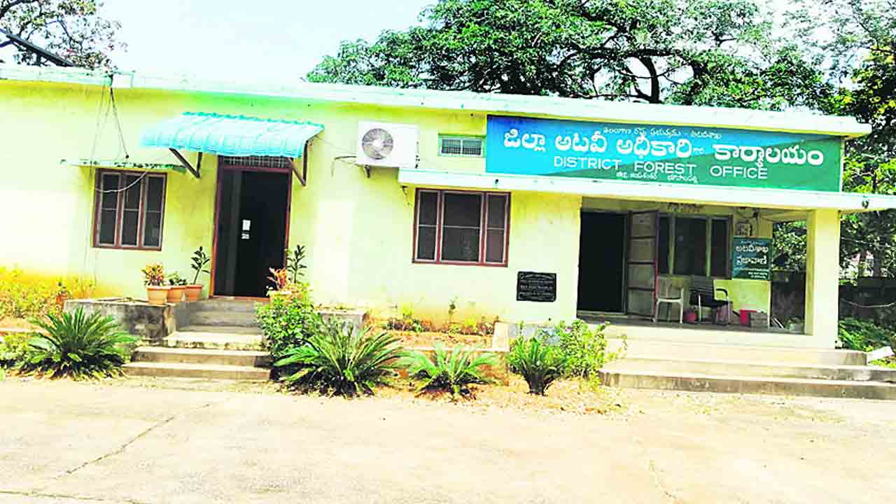 అడవిని రక్షించేదెలా?