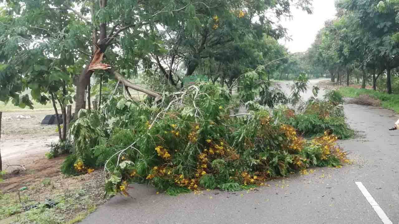 Wind Storms | ఈదురు గాలులతో విరిగి పడిన చెట్లు.. భయం గుప్పిట్లో ప్రయాణికులు