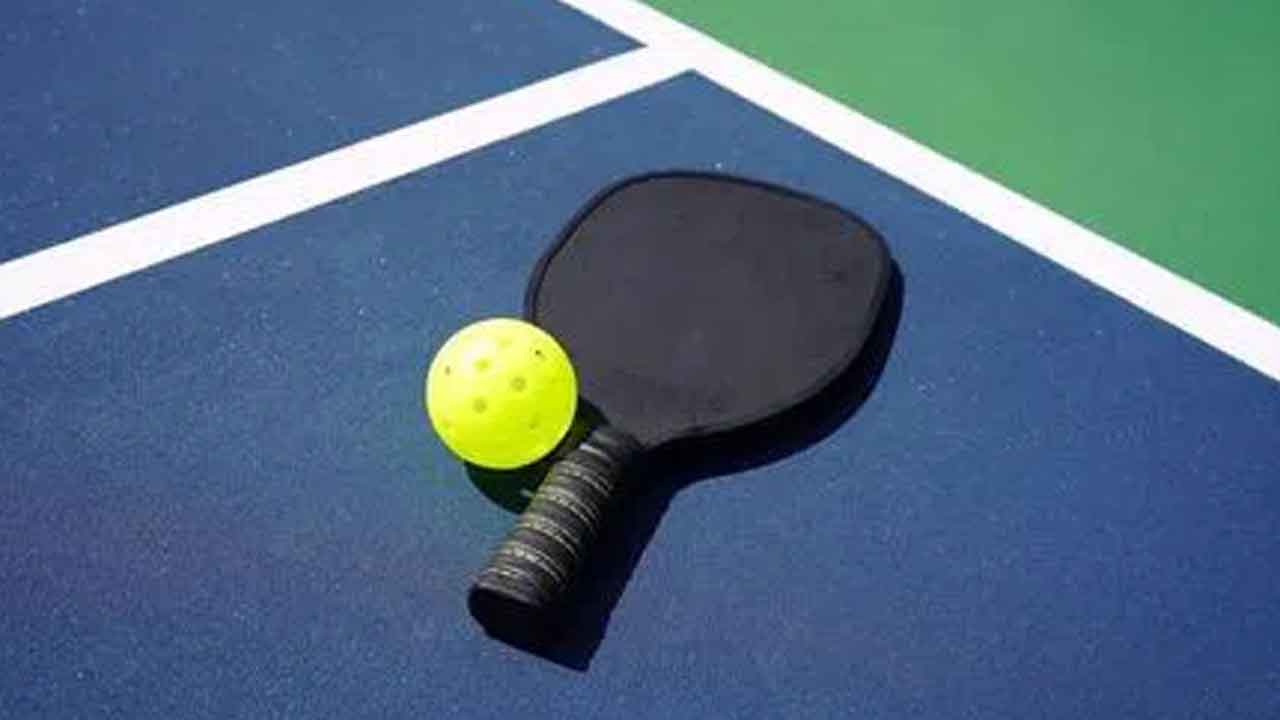 హైదరాబాద్‌ ఓపెన్‌ చాంప్స్‌ కుల్దీప్‌, అనూజ