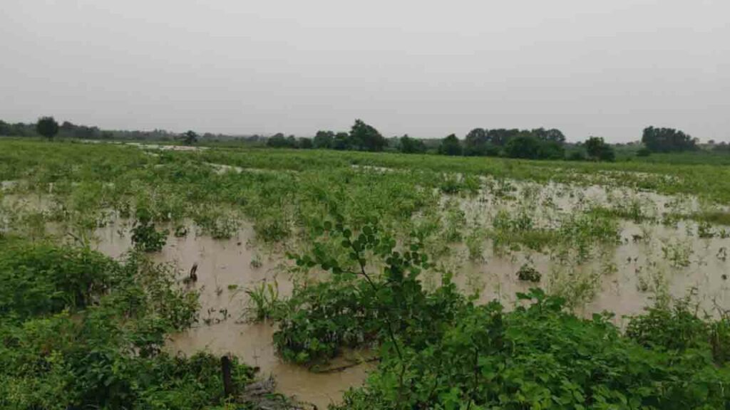 Zaheerabad Rains