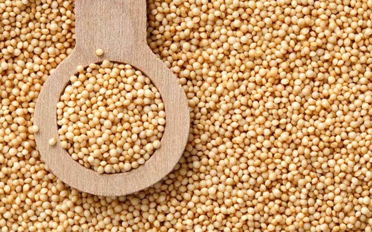 Amaranth Seeds | ఈ గింజ‌ల గురించి మీకు తెలుసా..? రోజూ తింటే అనేక లాభాల‌ను అందిస్తాయి..!
