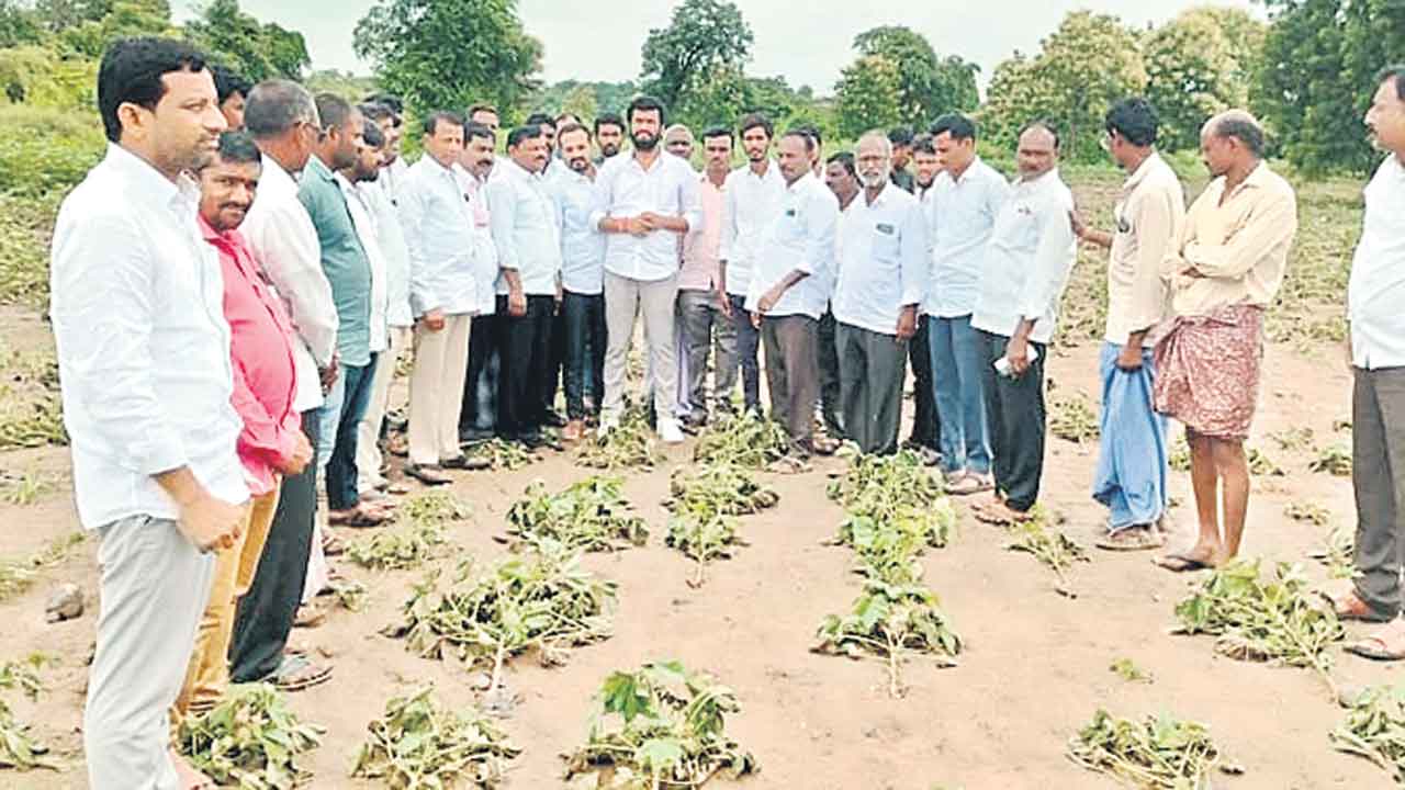 నేనున్నా.. ధైర్యంగా ఉండండి