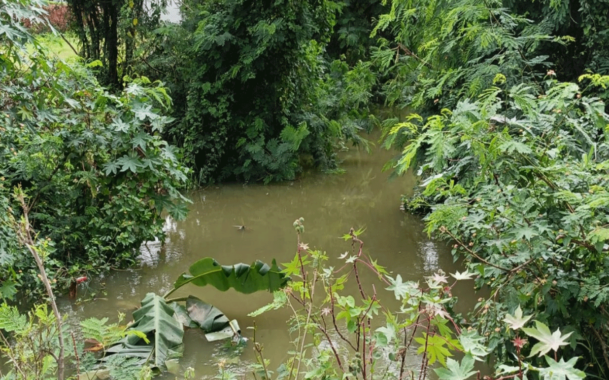 Bibinagar : చెరువుల మరమ్మతులను నిర్లక్ష్యం చేస్తున్న ప్రభుత్వం : పిట్టల అశోక్‌