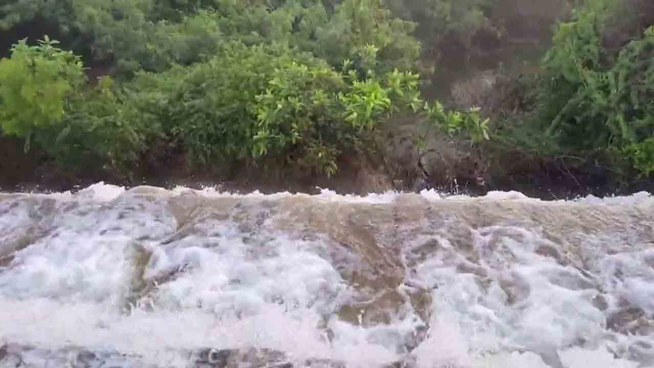 Nizampet | బీబీపేట పెద్ద చెరువుకు గండి.. వందలాది ఎకరాల్లో నీటమునిగిన పంట పొలాలు..!