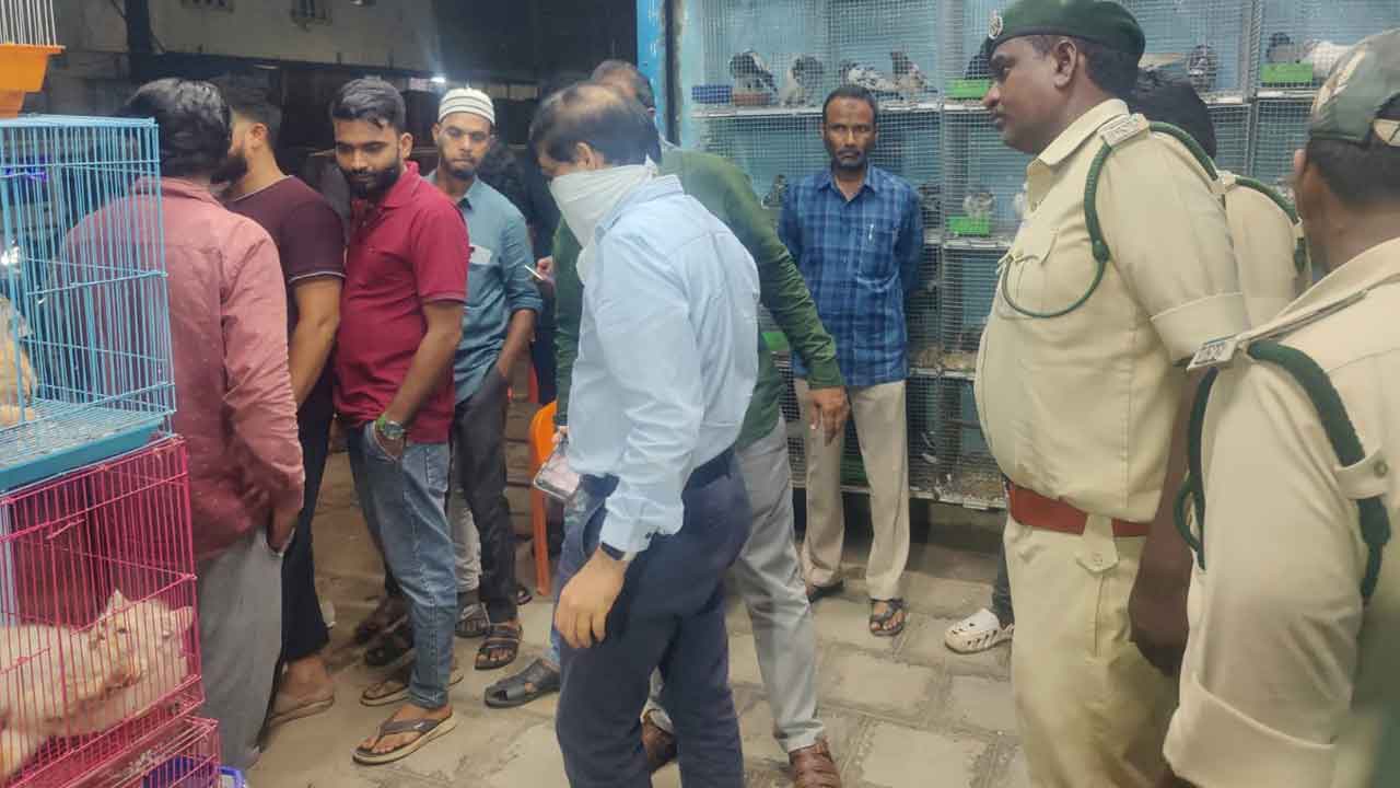 Nizamabad | పక్షుల దుకాణాల్లో ఫారెస్ట్ అధికారుల దాడులు.. రామచిలుకలు, కంజు పిట్టలు స్వాధీనం