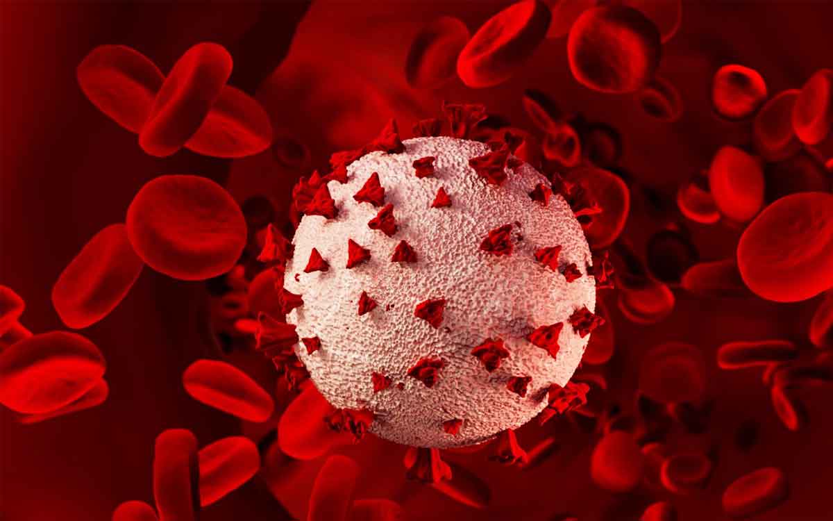 Blood Purification Foods | రక్తాన్ని శుద్ధి చేసే ఆహారాలు ఇవి.. రోజూ తింటే ఎలాంటి వ్యాధులు రావు..!