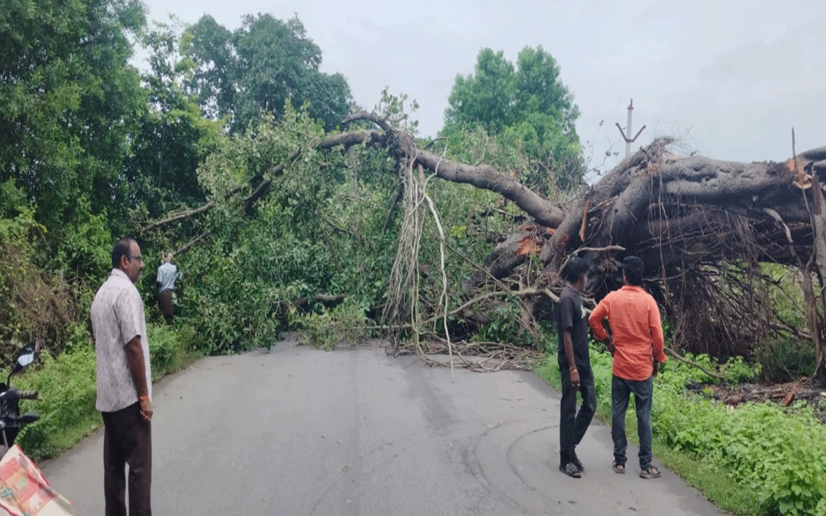 Bonakal : వైరా- జగ్గయ్యపేట ప్రధాన రోడ్డుపై కూలిన భారీ వృక్షం