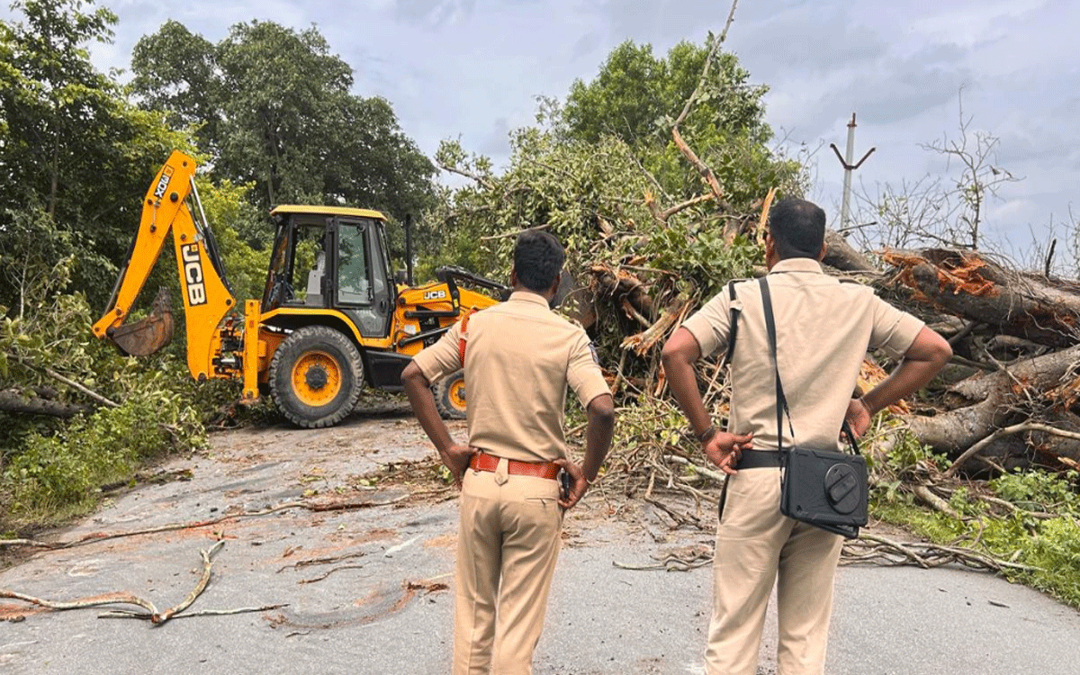 Bonakal : వైరా- జగ్గయ్యపేట ప్రధాన రోడ్డుపై కూలిన భారీ వృక్షం