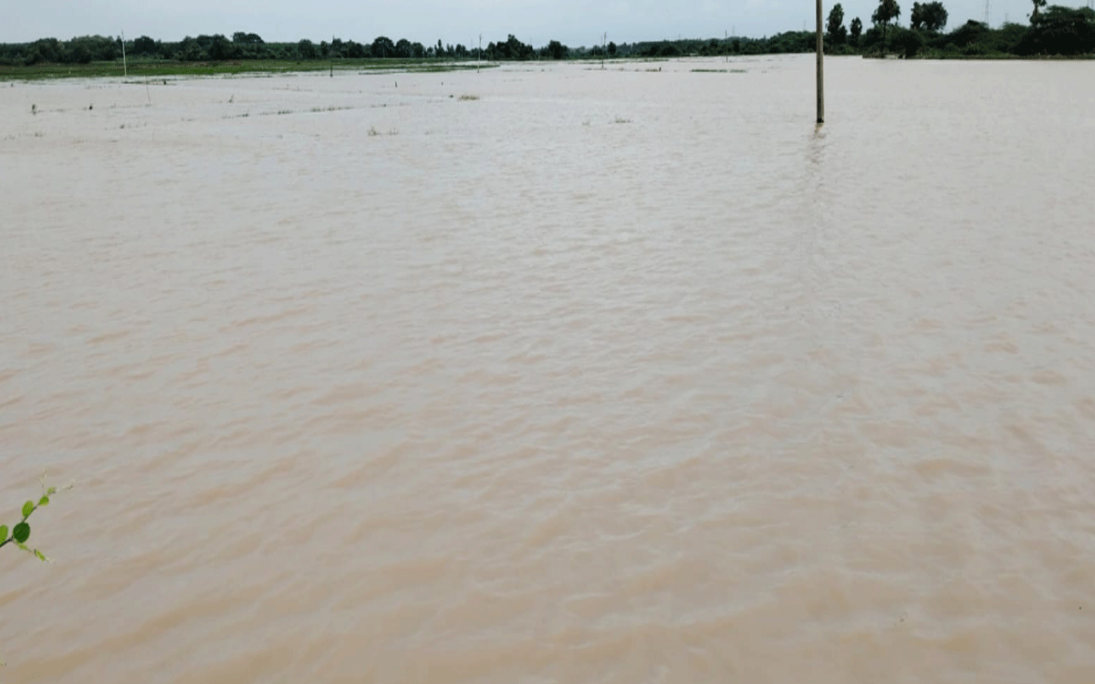 Bonakal : పెద్ద బీరవల్లిలో నీట మునిగిన పంట పొలాలు