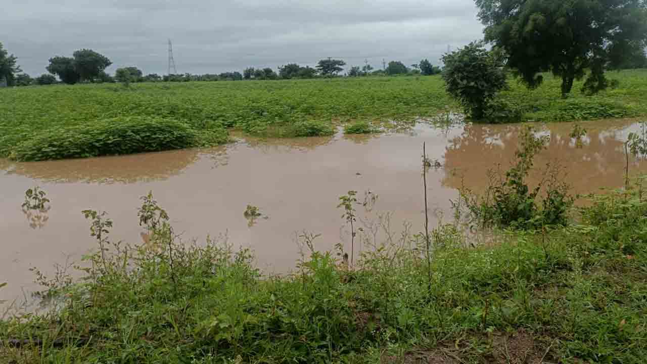 Chilipched | చిలిపిచెడ్ మండలంలో 15.4 సెంటీమీటర్ల వర్షం