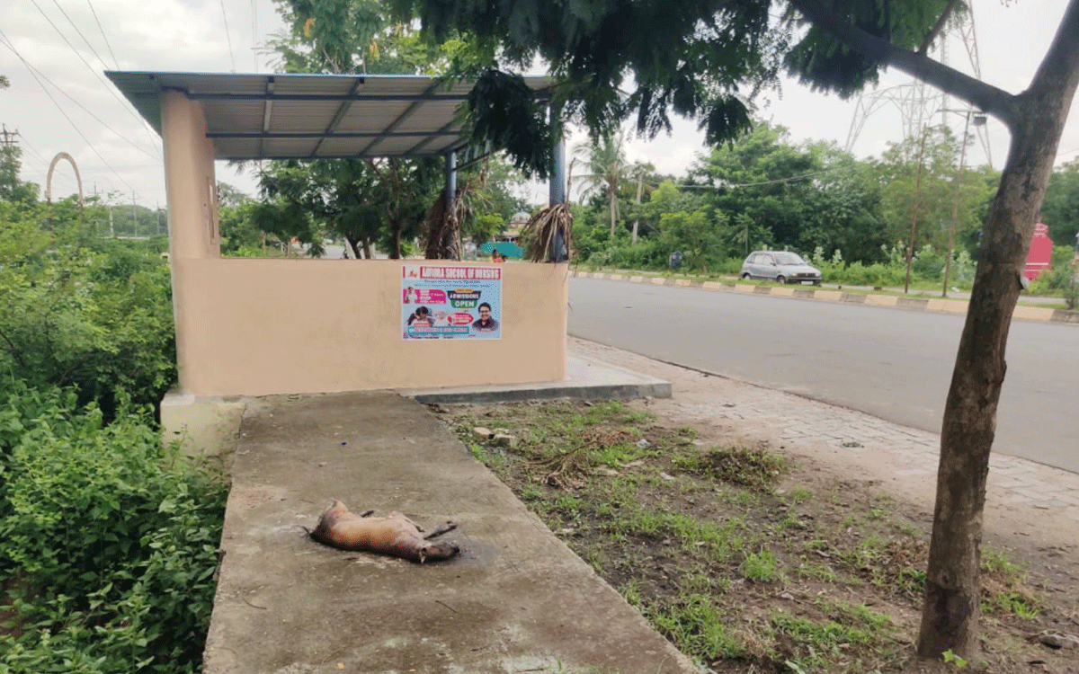 Ramavaram : బస్టాప్ వద్ద చనిపోయిన శునకం.. వెదజల్లుతున్న దుర్గంధం