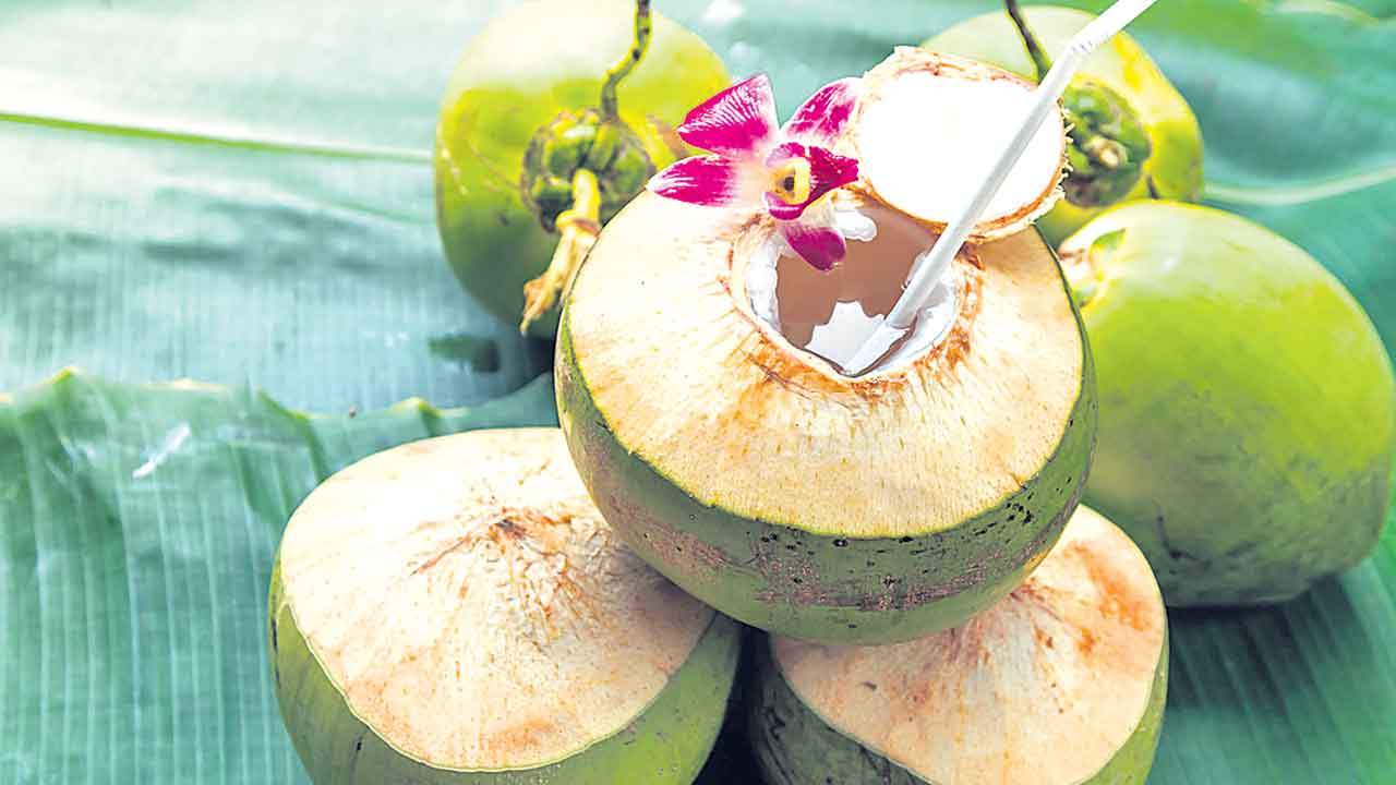 కొబ్బరి నీళ్లు ఎన్ని తాగాలి?