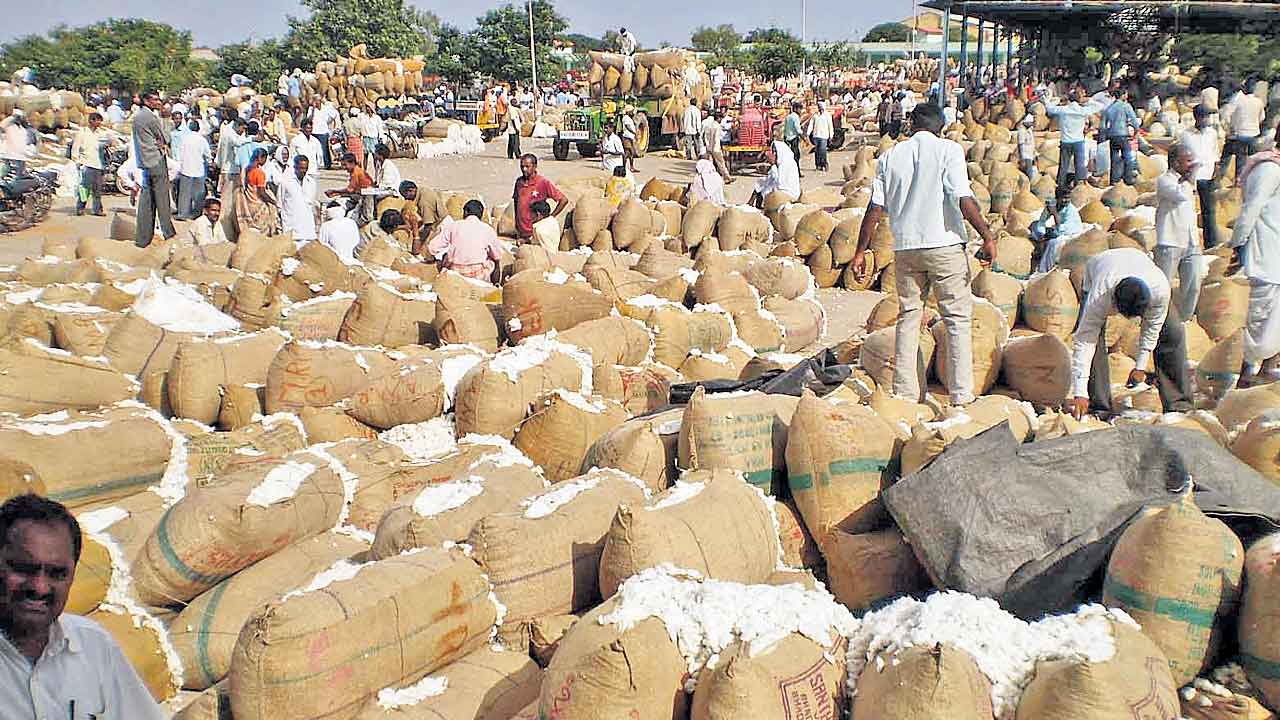 పత్తి రైతుపై సర్కారు కత్తి.. కొనుగోళ్ల బాధ్యత నుంచి తప్పుకునేందుకు కేంద్ర, రాష్ట్ర ప్రభుత్వాల కుటిల యత్నం