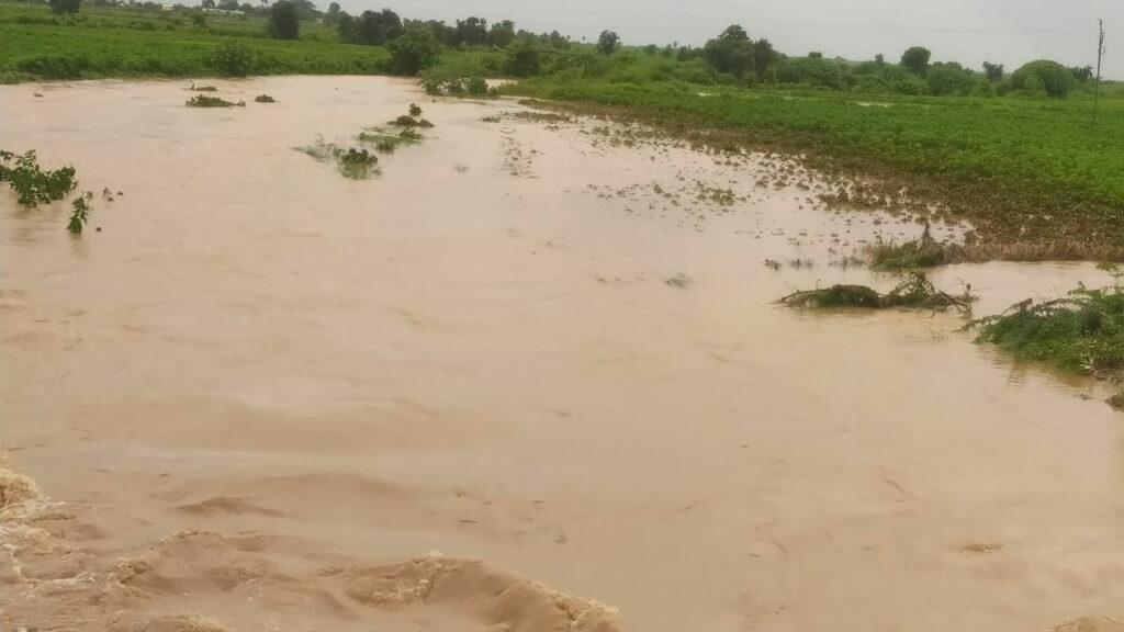 Crops Rains