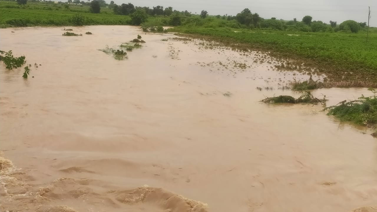 Mancherial | భారీ వర్షం.. నీట మునిగిన పంటలు