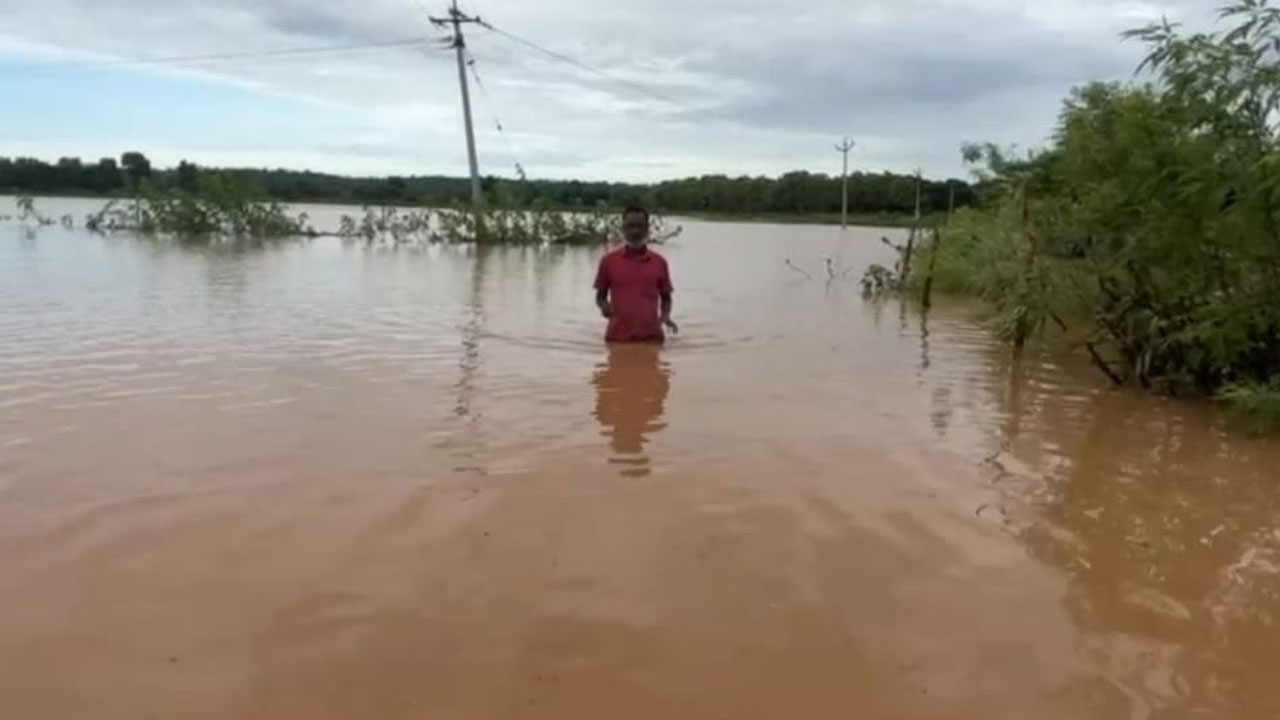 Crops Rains1