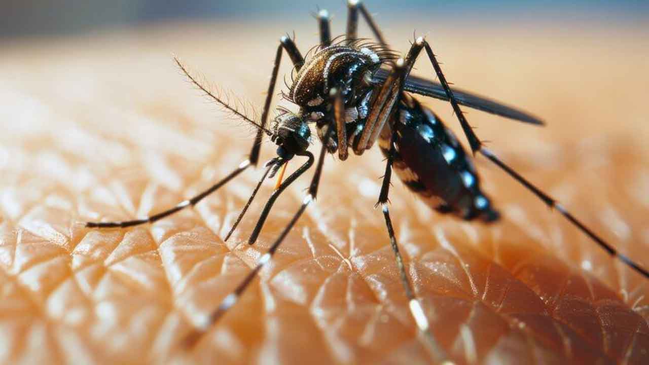 డెంగీతో ఇద్దరు చిన్నారుల మృతి