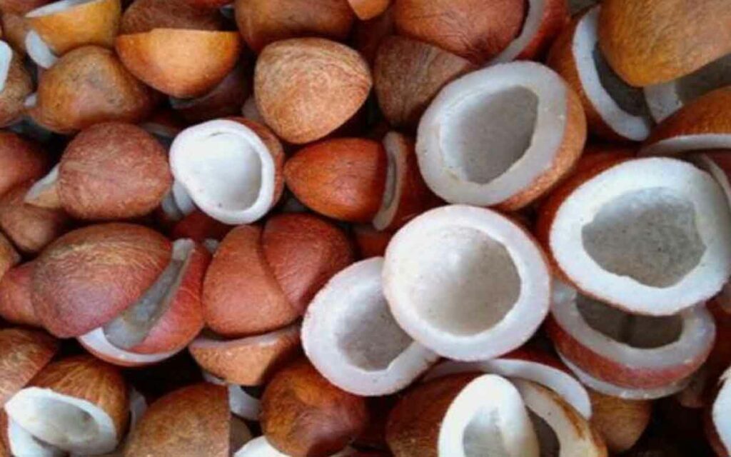 Dry Coconut