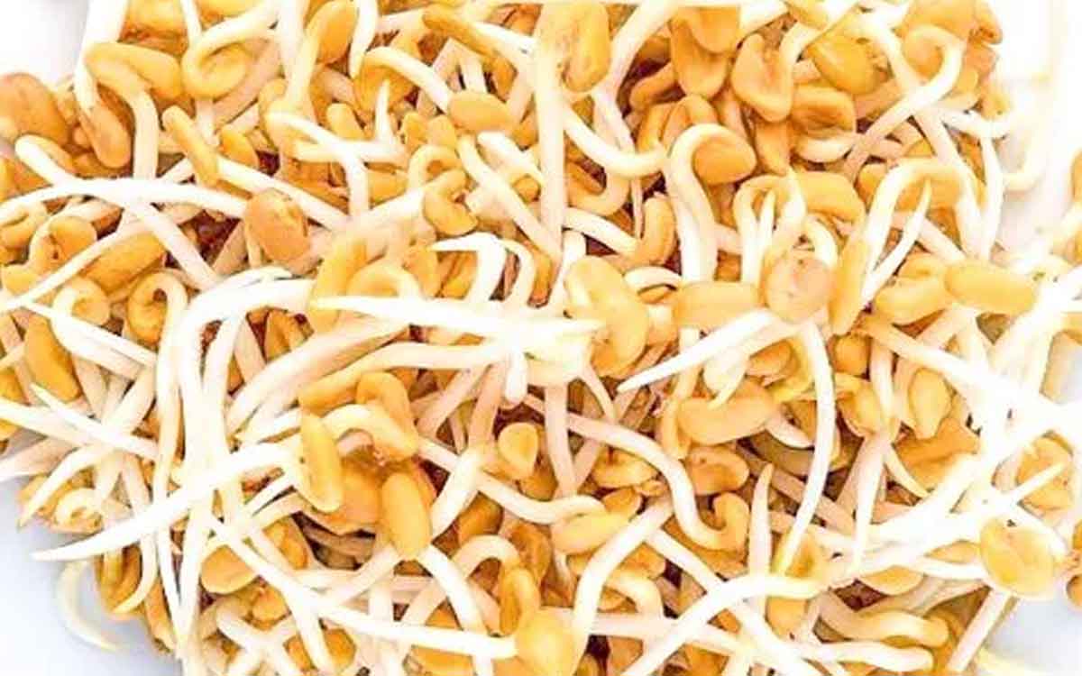 Fenugreek Seeds Sprouts | మొల‌కెత్తిన మెంతుల‌ను రోజూ తింటే ఎన్నో లాభాలు.. అనేక వ్యాధుల‌కు చెక్ పెట్ట‌వ‌చ్చు..