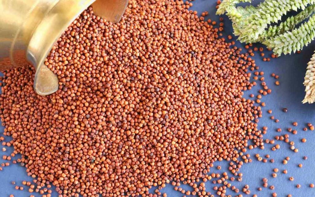 Finger Millet