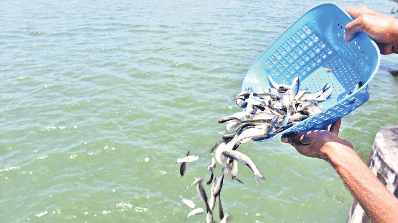 టెండర్లు సరే.. బకాయిలు ఇచ్చేదెప్పుడో!