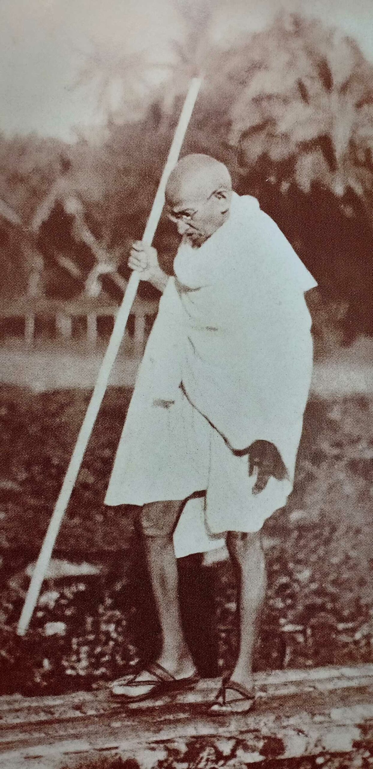 Gandhi14
