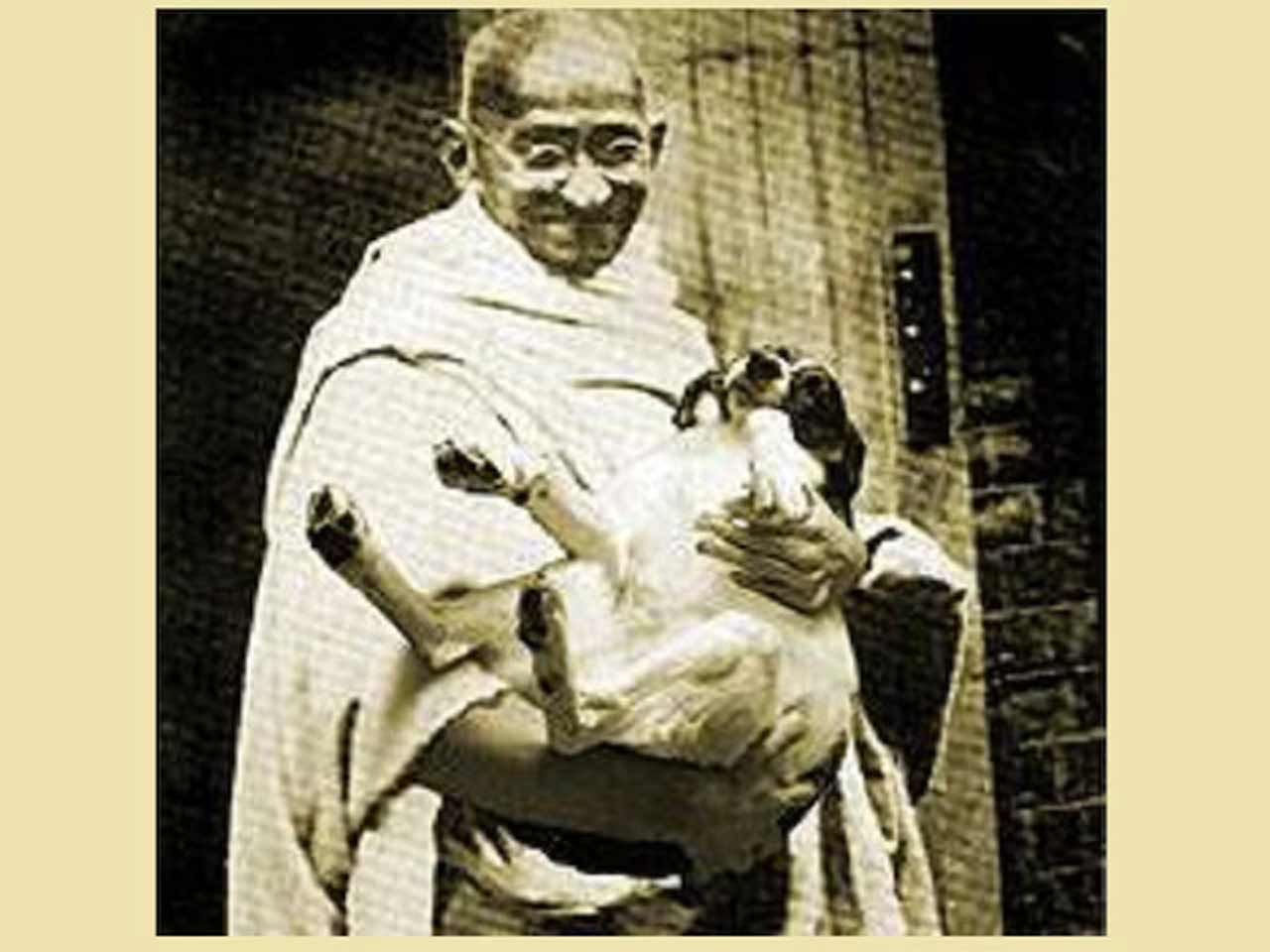 Gandhi27