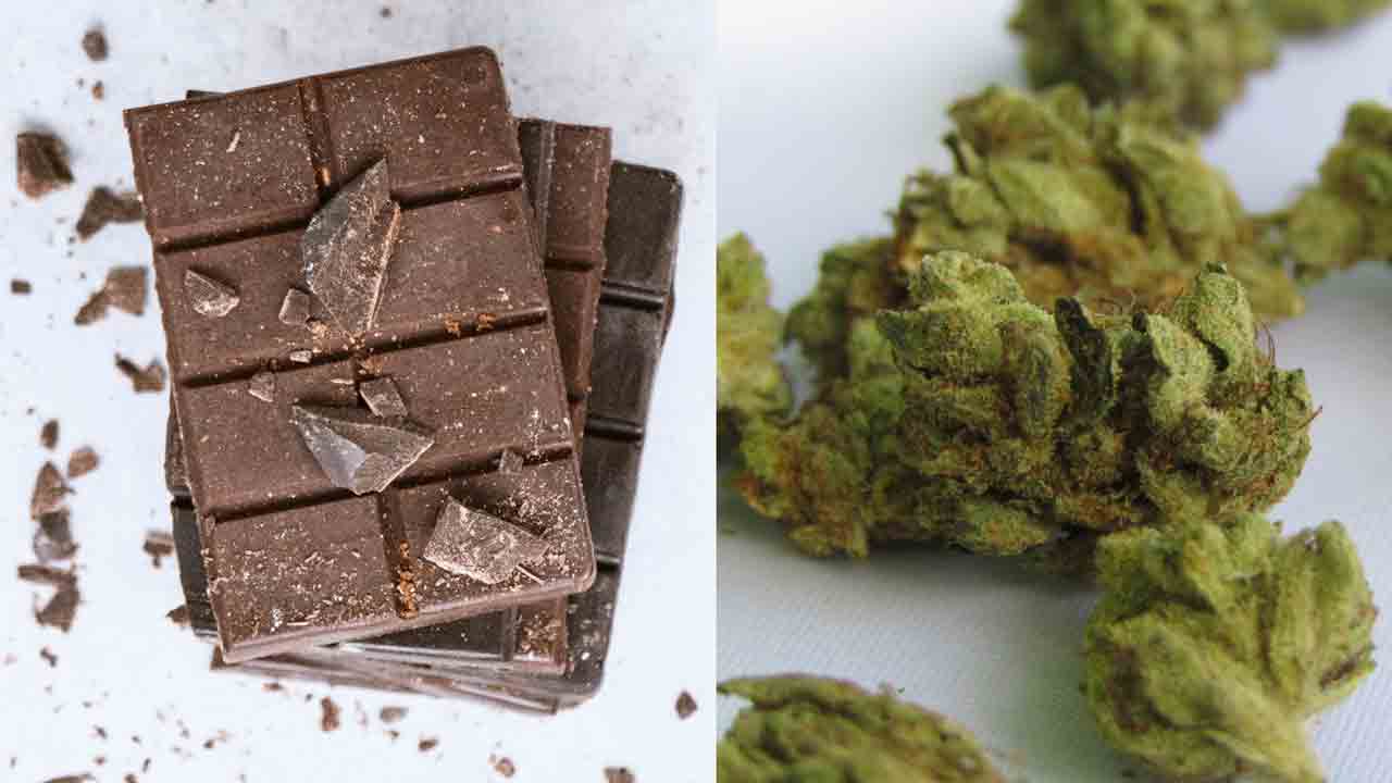 880 గంజాయి కేసులు: ఈఈడీ